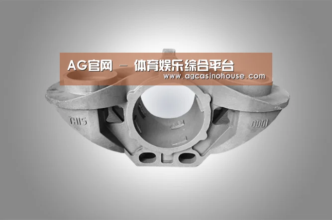 产品展示标题三