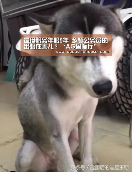 最低服务年限5年 乡镇公务员的出路在哪儿?‘AG国际厅’(图1) AG电竞