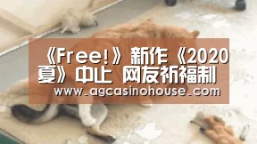 《Free!》新作《2020夏》中止 网友祈福制作人员平安:AG娱乐(图2) AG电竞